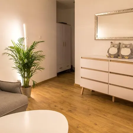 Apartamento Brzezicki Apartament Centrum