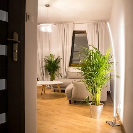 Brzezicki Apartament Centrum Apartamento