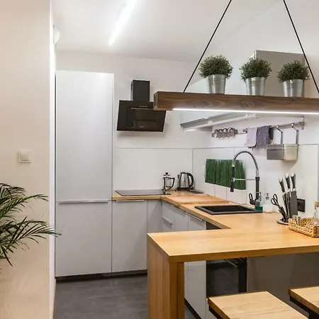 Brzezicki Apartament Centrum